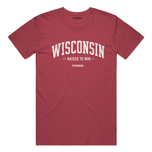 wisconsin brick red